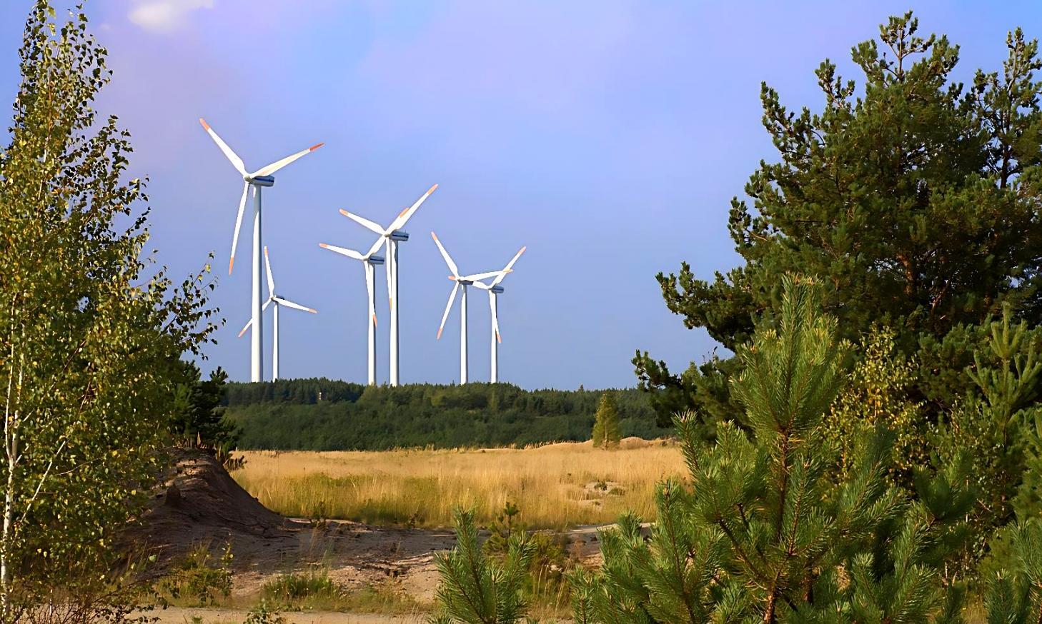 Formation en gestion de l'énergie dans les organisations